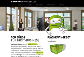 TYPO3-Website Brain-Park
