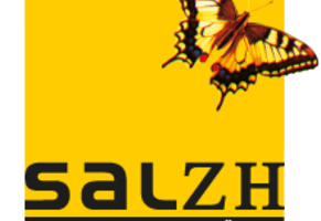 Redesign SalZH